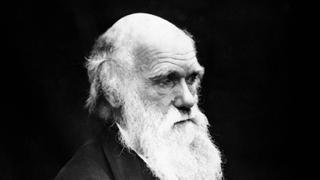 Čarls Darvin: 141. godišnjica smrti osnivača teorije o evoluciji