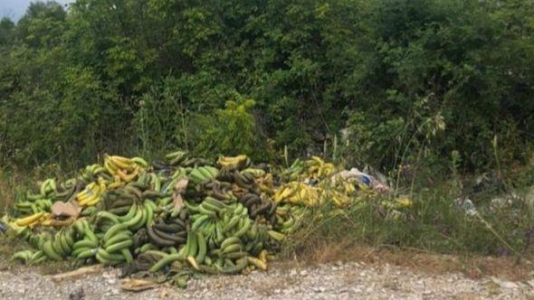 Drogu su pronašli radnici u paketima banana - Avaz