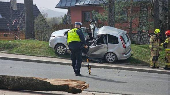 Stablo je palo i na automobil  - Avaz