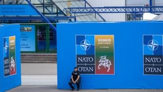 Njemačka insistira na odlaganju ukrajinskog pristupanja NATO-u zbog straha 