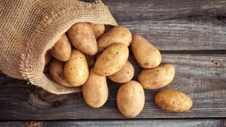 Zabranjen uvoz 23.100 kilograma krompira iz Poljske u BiH