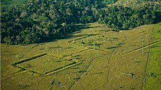 Naučnici tvrde: Amazonska prašuma ispod površine skriva na hiljade drevnih građevina 