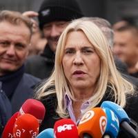 Cvijanović: Nije Merkel predložila Šmita da se iživljava na institucijama u BiH, nego da ga udomi