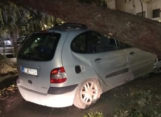 Haos u Crnoj Gori: U Budvi prevrnut kamion i polomljena stabla, dio Herceg Novog bez struje