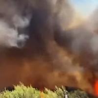 Video / Požar bukti Čileom, 22 osobe poginule 