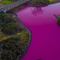 Voda u malom jezeru na Havajima najednom postala ružičasta: Naučnici ne znaju šta se dešava