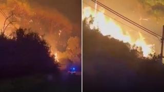 Šumski požari na Siciliji: Dvije osobe poginule, više od 700 turista evakuirano