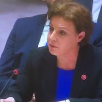 Sjednica Vijeća sigurnosti UN-a: MVP Kosova iznijela teške optužbe na račun Dačića