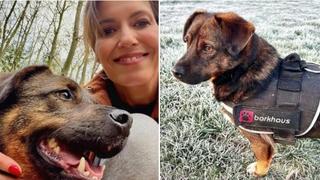 Sue podijelila priču: Kako je pas iz BiH spasio život svoje vlasnice