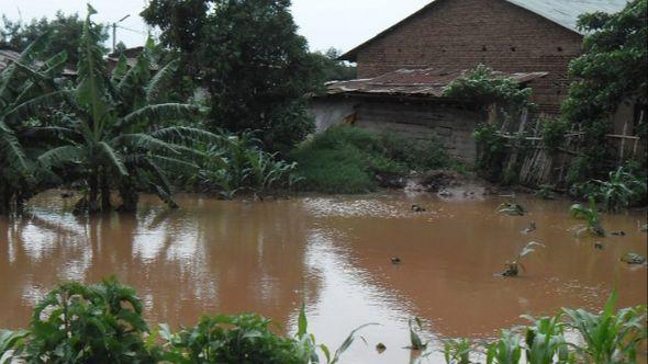 Poplave u Ugandi i Ruandi - Avaz