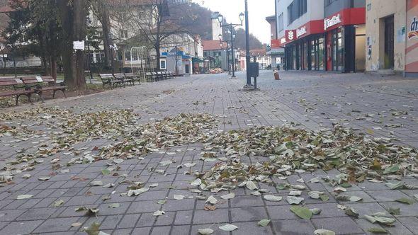 Lišće na ulicama - Avaz