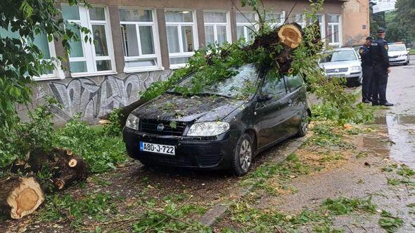 Drvo palo na automobil - Avaz