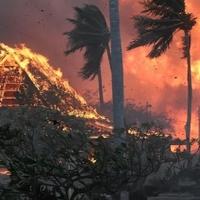 Požar na Havajima: Broj žrtava porastao na 36