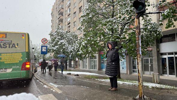 Pao snijeg - Avaz