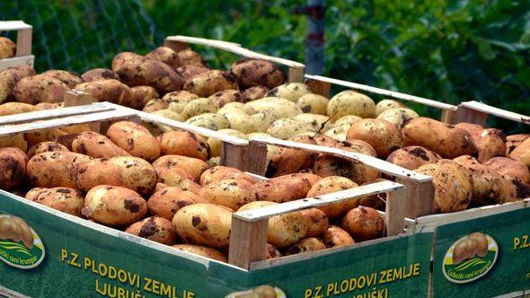 Uvoz krompira - Avaz