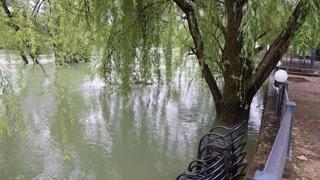 Buna se izlila na cestu, poplavljeno Trebižatsko polje