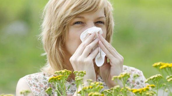polen alergija - Avaz