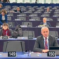 Borenović u Strazburu: Izbori u Srbiji su praznik demokratije u odnosu na izbore u BiH