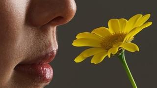 Nauka pokazuje: Evo zašto ljudi gube čulo mirisa