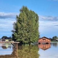 Podravina: Drava opada, i dalje kritično u naseljima Drnje i Torčec