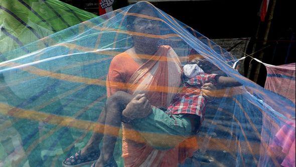 Više od 1.000 ljudi umrlo je od denga groznice - Avaz