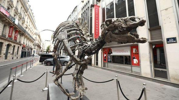 Kostur dinosaurusa izložen u Parizu - Avaz
