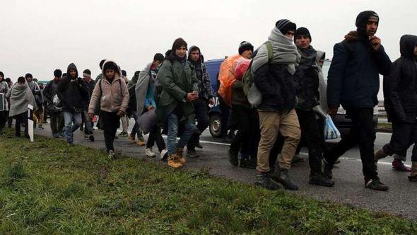 Srbija: Policija pronašla 371 neregularnog migranta kod Subotice, Sombora i Kikinde - Avaz