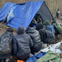 Organizirane grupe preuzimaju prebacivanje migranata: Put od Sirije do EU košta i do 12.000 eura