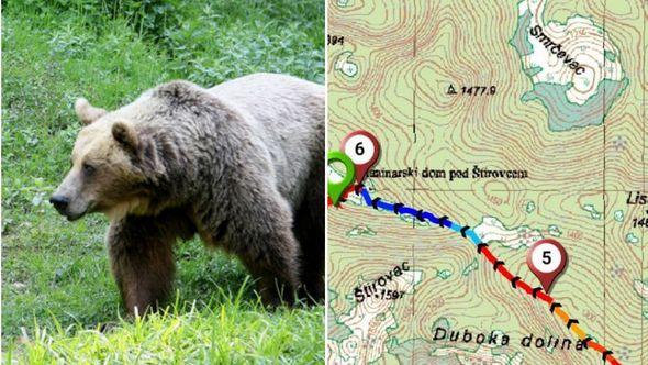 Medvjed uplašio planinare - Avaz
