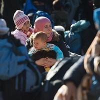 Oko 56 posto Austrijanaca želi smanjenje priliva izbjeglica na nulu
