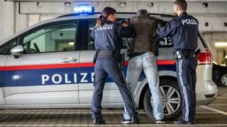 Državljani BiH osuđeni u Austriji zbog krijumčarenja više od 400 kilograma kanabisa
