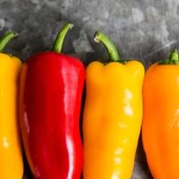 Povrće koje je otpjevano i u pjesmama: Paprika je jedna od najstarijih kultura