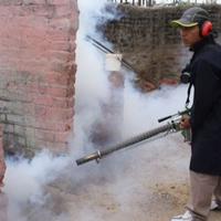 Peru proglasio vanredno zdravstveno stanje zbog širenja denga groznice
