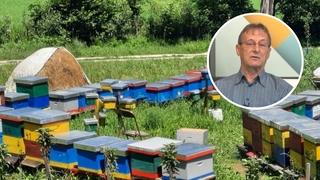 Ismet Hasanović, pčelar iz Tuzle za "Avaz": Zbog snijega pčele se neće razviti 