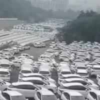 Hiljade netaknutih električnih automobila trunu u Kini