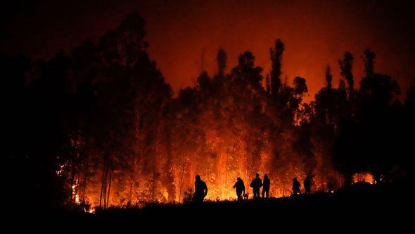 Požar u Čileu - Avaz