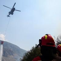 Albanija se bori sa požarima, u posljednja 24 sata ugašeno deset