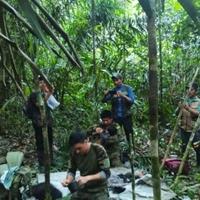 Djeca koja su nestala u džungli nakon pada aviona, nakon pet sedmica nađena živa