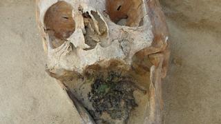 U Poljskoj otkrivena grobnica s 450 obezglavljenih "vampira", u ustima su imali neobičan predmet