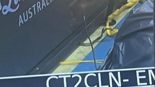 Navijači je primijetili: Ekstremno otrovna zmija prekinula meč u Brizbejnu na koji se vraća Rafael Nadal 