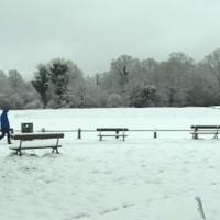 Pao snijeg u Velikoj Britaniji: Zatvorene škole