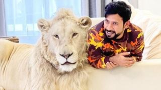 Šeik drži tigrove, lavove, medvjede kao kućne ljubimce: Milioni ga prate na Instagramu, svi su šokirani