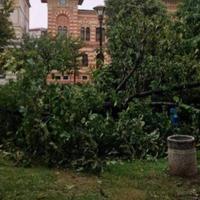 U Distriktu proglašeno stanje prirodne nesreće zbog olujnog nevremena