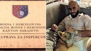 Kantonalna uprava za inspekcijske poslove KS: Na Poljinama nije pronađeno mladunče lava 