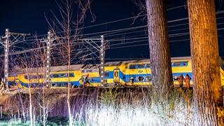 Među stradalima u željezničkoj nesreći u Nizozemskoj nema državljana BiH