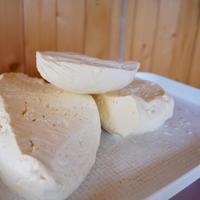 Evo zašto vam se mladi sir brzo pokvari: Prije nego što ga stavite u frižider, morate uraditi jednu stvar