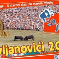 Čevljanovići spremni za najveću koridu: U udarnoj borbi bikovi poznatih porodica Brajković i Bajra