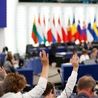 EU će uspostaviti radnu grupu za praćenje pokušaja stranog uticaja na evropske izbore u junu