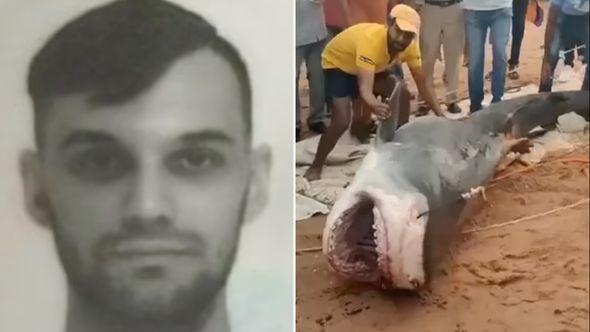 Morski pas je uhvaćen i ubijen - Avaz