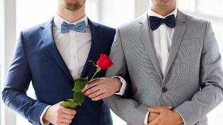 Prva srednjoevropska država koja je uvela istospolne brakove